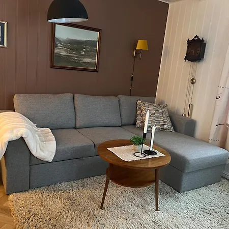 The House In Vika * Lodingen