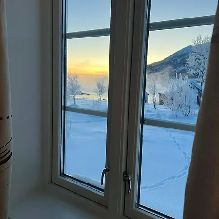 The House In Vika Lodingen