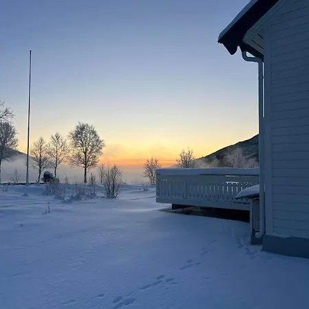 The House In Vika *