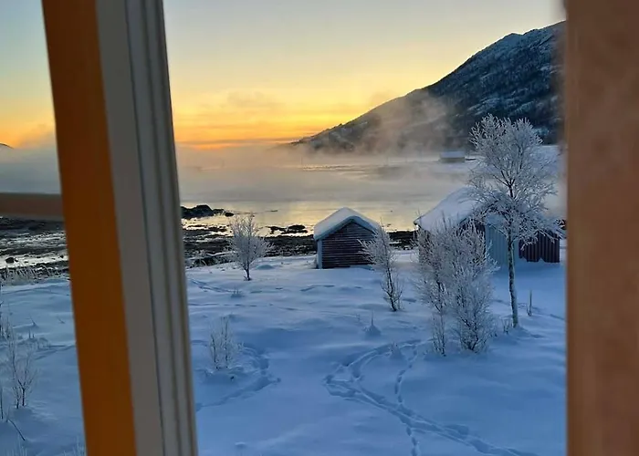 The House In Vika