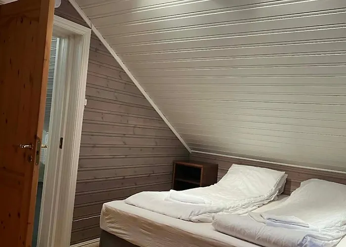 The House In Vika
