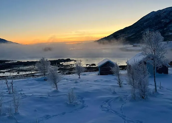 The House In Vika *