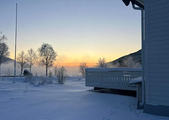 The House In Vika *